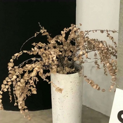 十堰FurryQQ群介绍